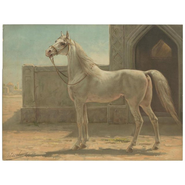 After Otto Eerelman, Persian Horse, 1898, Lithograph on Paper For Sale - Image 9 of 9