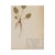 Rustic European Antique Swedish Herbarium - Cowslip, Circa 1907 For Sale - Image 3 of 3