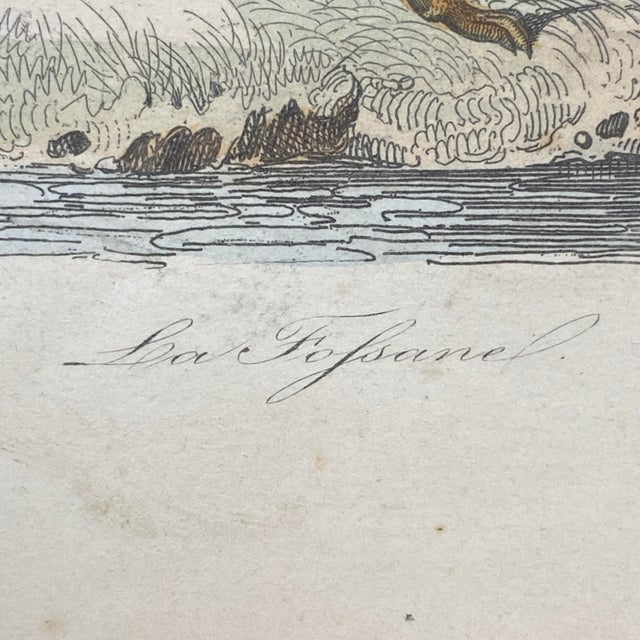 French Antique 18th Century "La Genette" Animal Engraving Hand Colored Signed Artwork For Sale In Portland, ME - Image 6 of 12