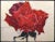 Sally Anderson "Rose" Hand Signed Original Red Rose Lithograph Unframed For Sale
