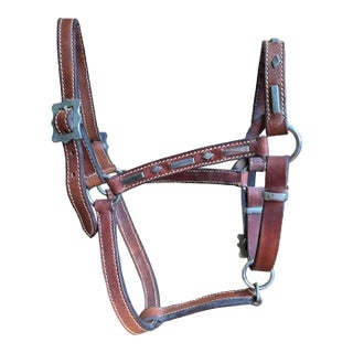 Vintage Equestrian 1970’s Leather Horse Halter For Sale