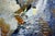 After Michela Marchiotti, Landscape with Seagulls, 20th Century, Oil Painting on Canvas, Framed For Sale - Image 3 of 13