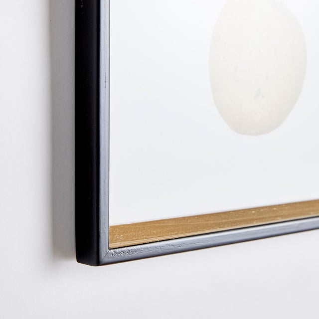 This set of nine assorted fruit studies offers a detailed look at the beauty of the artist's frequent subject. This...