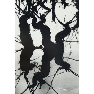 Lucien Clergue, Le Marais d'Arles, Etching For Sale