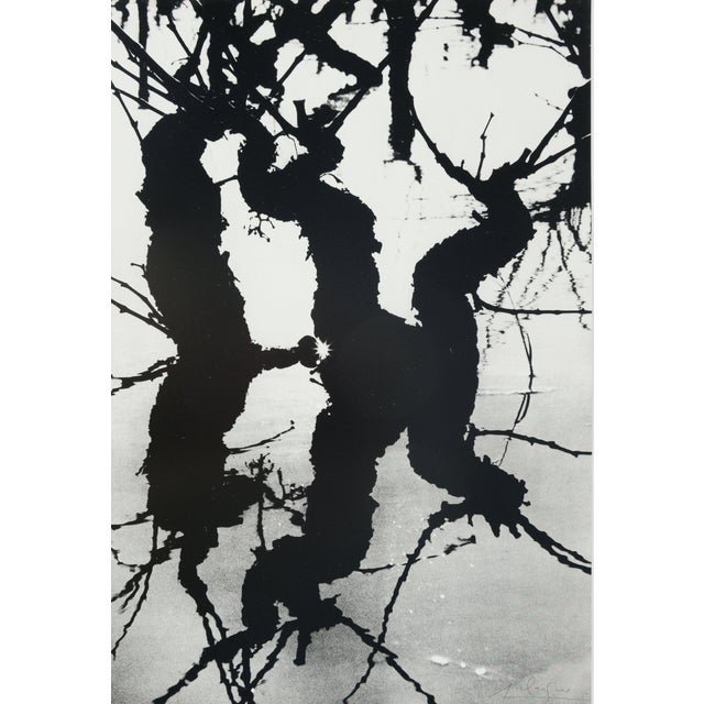 Lucien Clergue, Le Marais d'Arles, Etching For Sale