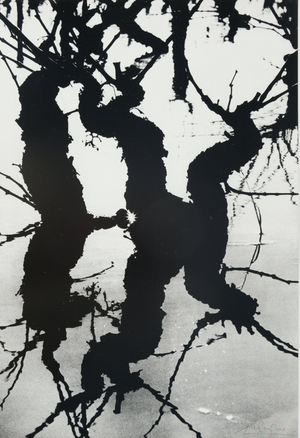 Lucien Clergue, Le Marais d'Arles, Etching