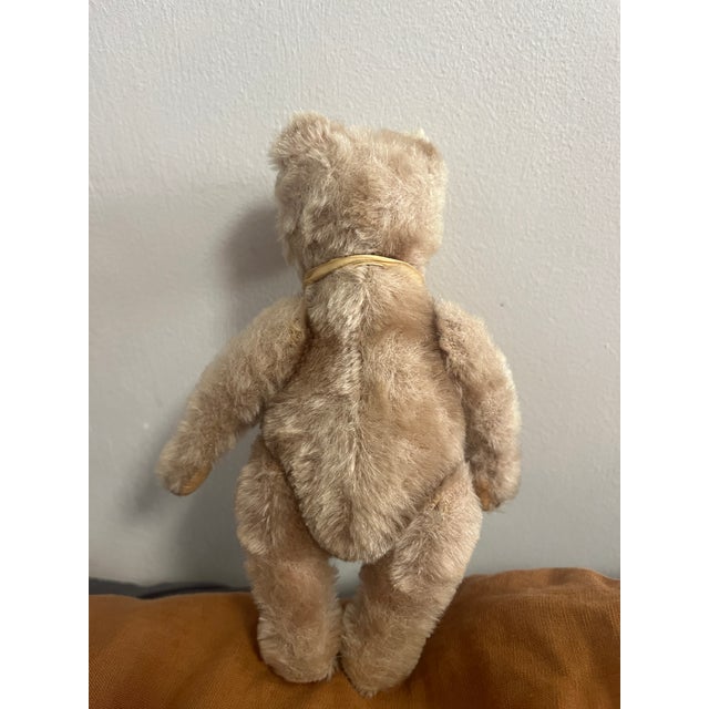 Cream Small Steiff Bear Antique For Sale - Image 8 of 11