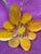 Pat & Andre Juneau Metal Flower Wall Sculpture, Extra Large For Sale - Image 4 of 12