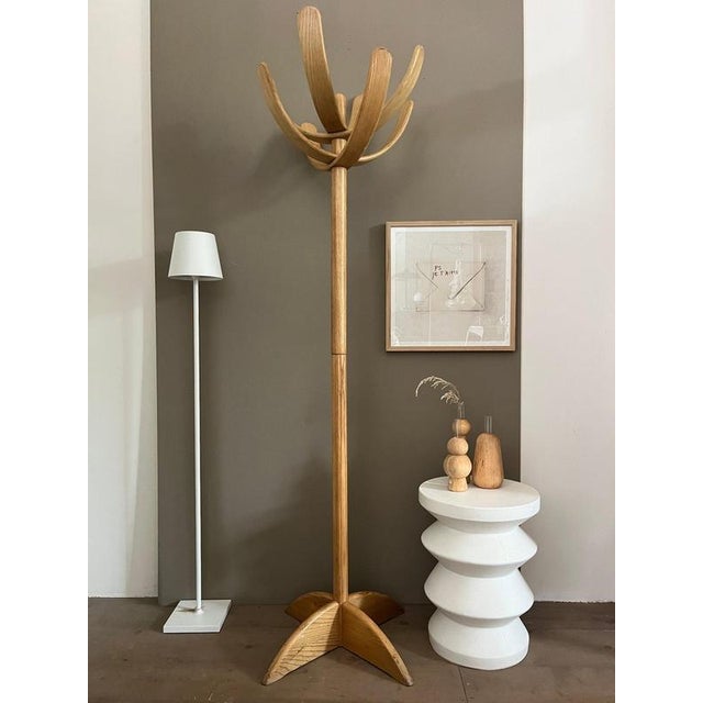 Late 20th Century Cactus Coat Rack by Mauro Pasquinelli for Pallavisini, 1970s For Sale - Image 5 of 13