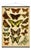 Reproduction of Antique 'Butterfly' Wall Hanging For Sale