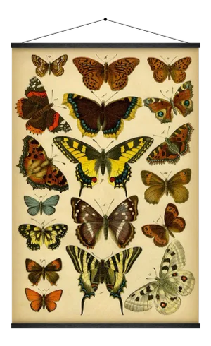Reproduction of Antique 'Butterfly' Wall Hanging