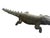Vintage Bronze Ashanti Akan of a Crocodile /Shark Ivory Coast For Sale - Image 4 of 7