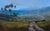 Above Shark Harbor by Jane Hunt | Oil on Panel Landscape with ocean view and trees. For Sale