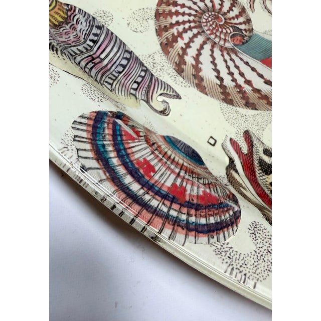 2020s John Derian Signed Nautilus Seashell Decoupage Glass Platter 14” For Sale - Image 5 of 8
