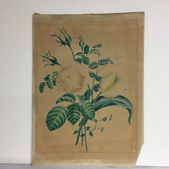 This is a lovely antique print (date unknown) of a garden bouquet. Watermark on the paper can't be read but seen from the...