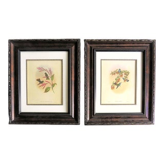 Pair of John Gould Humming Bird Lithographs Prints 1st Edition Framed For Sale