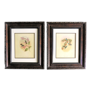 Pair of John Gould Humming Bird Lithographs Prints 1st Edition Framed