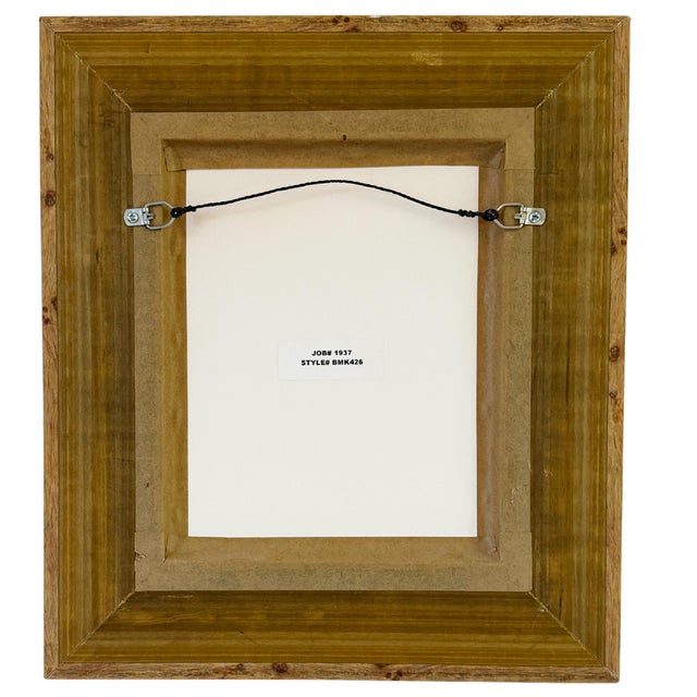 Framed Seashell Engraving Prints - Conchology Engravings After Georg Wolfgang Knorr, Set of 4 For Sale - Image 15 of 15