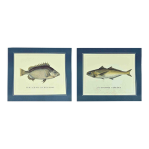 Mid 20th Century Coastal Ichthyology Inspired Marine Illustrations Prints - A Pair