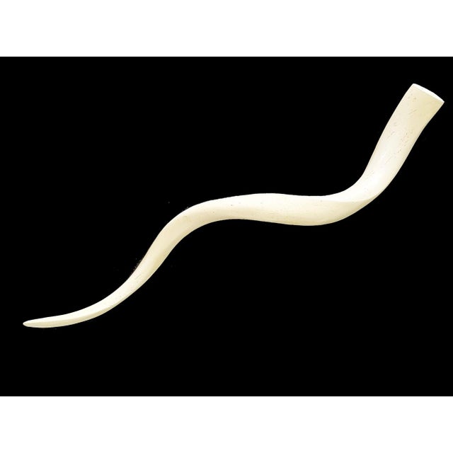 Offered is a large polished antler from the African Kudu Antelope. It is a very neutral and soft cream color and has a...