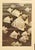 This is a set of 3 1945 prints depicting sea life. We recently purchased a collection of images of painted sea life images...