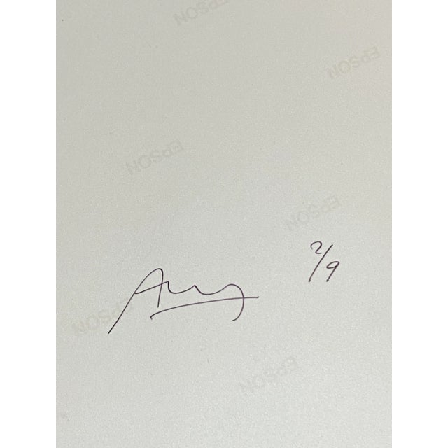 Apesteguy, Champagne, 2000s, Photographic Paper For Sale - Image 6 of 7