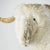 Mid 20th Century Figural Shearling Sheep Sculptural Bench After Claude Lalanne For Sale - Image 11 of 13