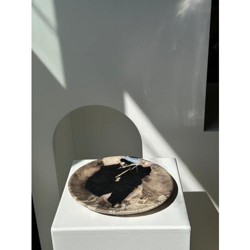 Large Vide-Poche or Dish in Petrified Wood For Sale - Image 11 of 18