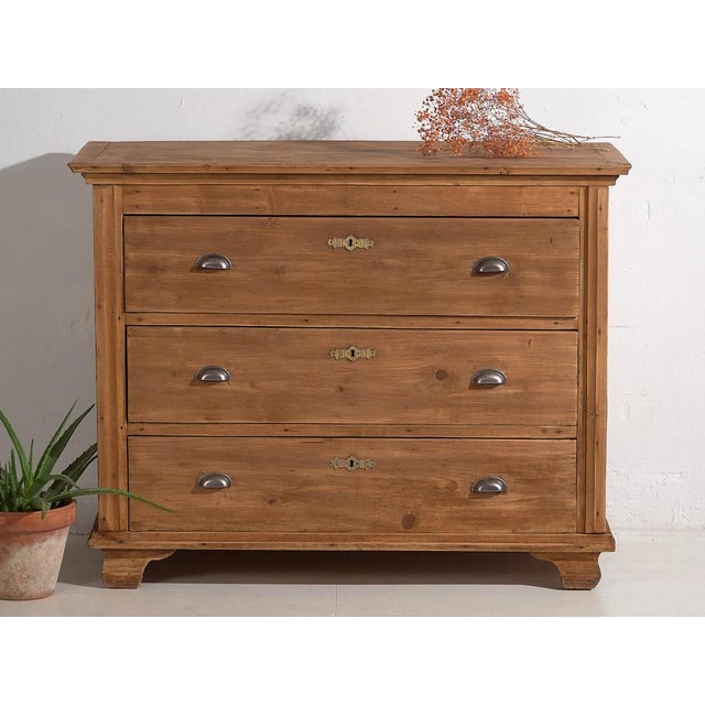 Brown Country Chest of Drawers, 1920s For Sale - Image 8 of 11