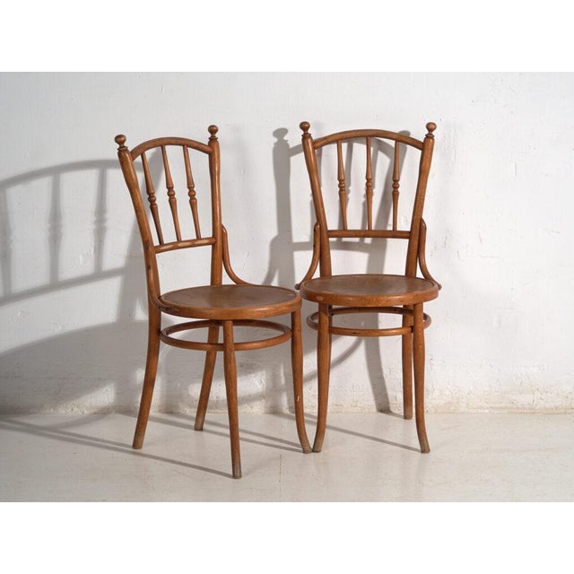 Antique Bentwood Chairs, Central Europe, 1900s, Set of 4 For Sale - Image 3 of 13