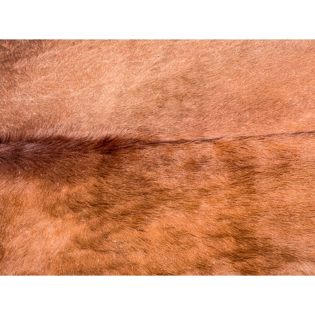 Beautiful vintage genuine cowhide rug in a warm saddle brown tone with natural tonal variation and organic shape. This...