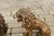 Italian Pair of Italian 1880s Small Walnut Hand Carved Lion Sculptures with Dark Patina For Sale - Image 3 of 12