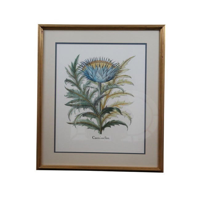 Italian Set of 2 Italian Fiorenza Floral Botanical Stramonia Cinera Cum Flore Colored Etchings For Sale - Image 3 of 10