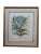 Italian Set of 2 Italian Fiorenza Floral Botanical Stramonia Cinera Cum Flore Colored Etchings For Sale - Image 3 of 10