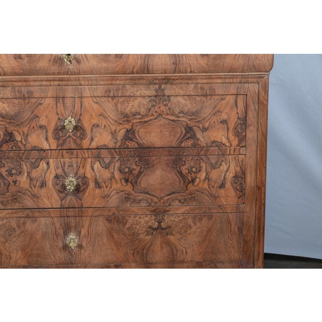 19th Century French Louis Philippe Walnut Commode For Sale - Image 10 of 11