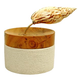 “Hydro” Contemporary Sculpture by Isabelle Fustinoni (French Artist) – Natural Shell & Mixed Media For Sale