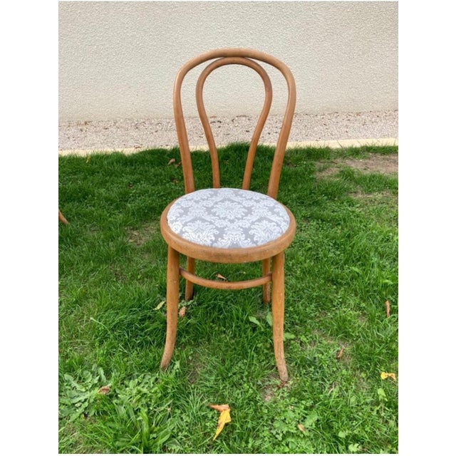 Six Fischel bistro chairs in bent beechwood, elegant testaments to early 20th-century craftsmanship. The backrest features...