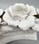 Italian White Glazed Ceramic Floral Double Candle Holders — Hollywood Regency / Neoclassical For Sale - Image 12 of 15