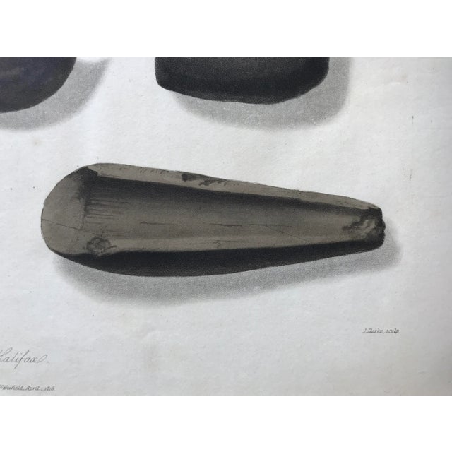 Antique Color Etching of Ancient Celts Arrow Heads 1860 For Sale In New York - Image 6 of 7