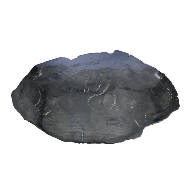 Contemporary Black Petrified Wood Coffee Table by Xyleia Petrified Wood For Sale - Image 3 of 11