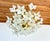 Vintage White Milk Glass Floral Flush Mount Chandelier For Sale - Image 9 of 14