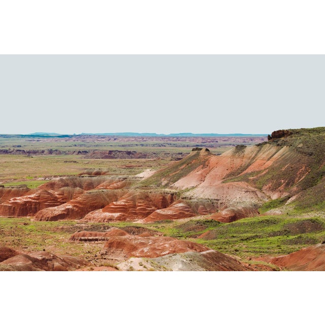Warm Echo was captured in the ancient expanse of Arizona’s Petrified Forest, where fossilized trees and desert earth meet...