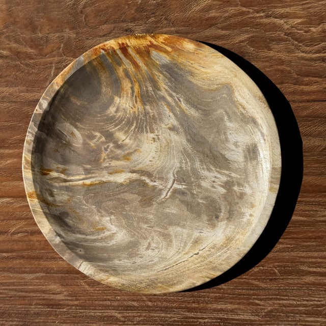 Light Beige Petrified Wood Circular Tray, 1980s For Sale - Image 11 of 11