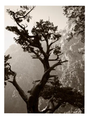 Ugne Pouwell, Samaria Gorge No. 2, 2022, Photography