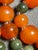 1950s Gemstone Necklace Red Nanhong Agate Bingju Type (Icey Orange Tangerine). Necklace With Jade Vintage Screw Clasp For Sale - Image 5 of 9