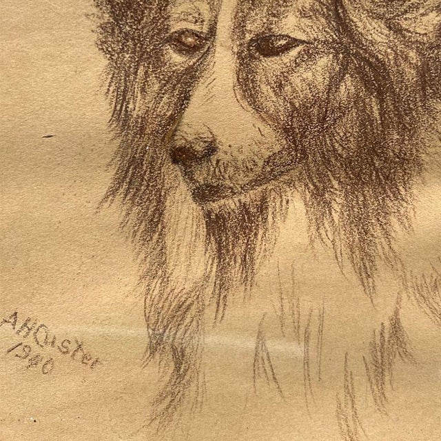 1940s 1940s Pencil Drawing of a Collie Dog on Paper and Framed in Wood Frame Signed - 1940 For Sale - Image 5 of 7