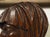 Set of 17th/18th Century French Carved Oak Renaissance Style Profile Busts For Sale - Image 12 of 18