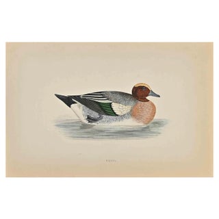 Alexander Francis Lydon, Wigeon, Woodcut Print, 1870 For Sale