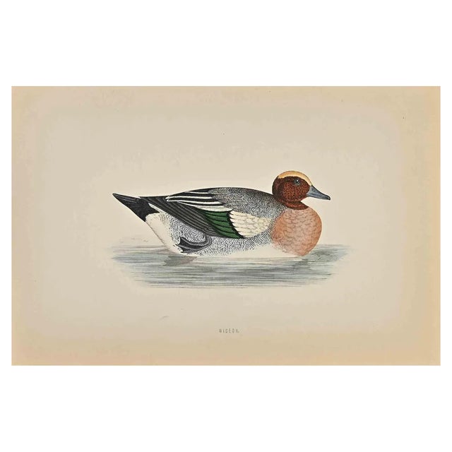 Alexander Francis Lydon, Wigeon, Woodcut Print, 1870 For Sale