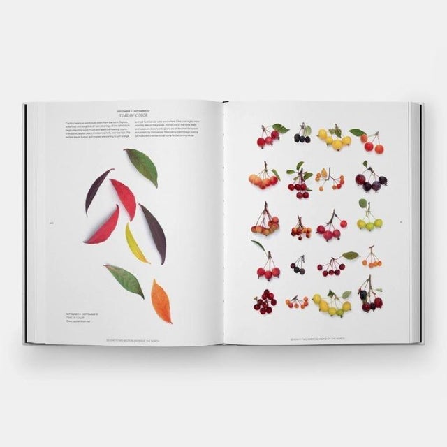 Still: The Art of Noticing Book For Sale In New York - Image 6 of 8